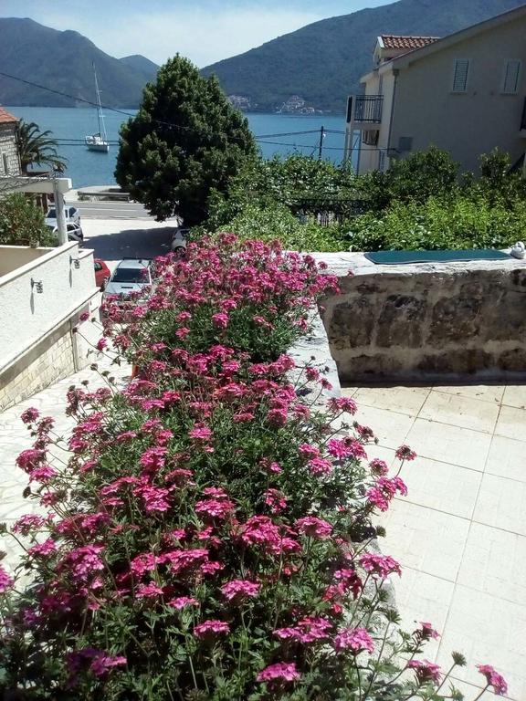 ריסאן Apartmani Villa Radovic מראה חיצוני תמונה